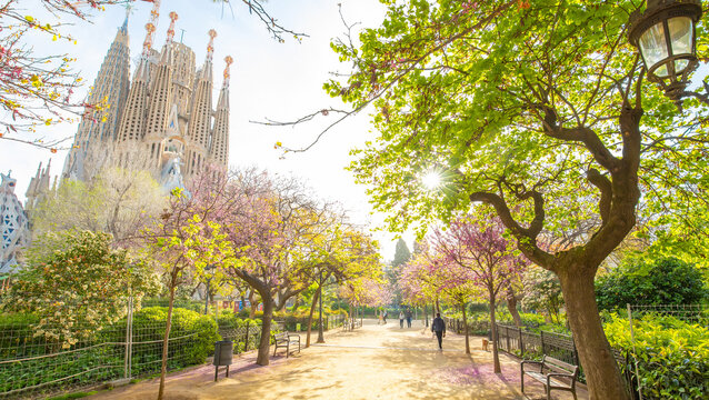 Blooming spring garden in Barcelona city, Spain travel photo
