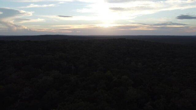 This footage was taken during a 5 Day hike in the ancient mayan jungle on the border between Mexico and Guatemala. A lot of biodiversity can be seen such as Howler- and Spidermonkeys.