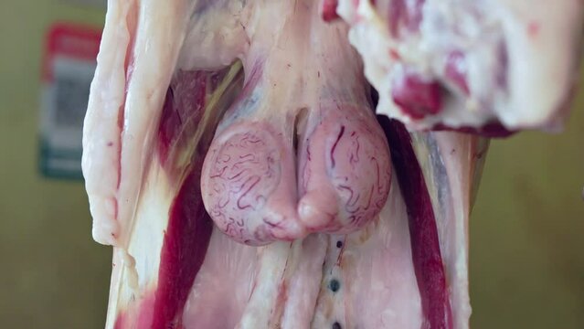 Closeup of fresh raw meat or carcasses of meat hanging in front of the meat shop