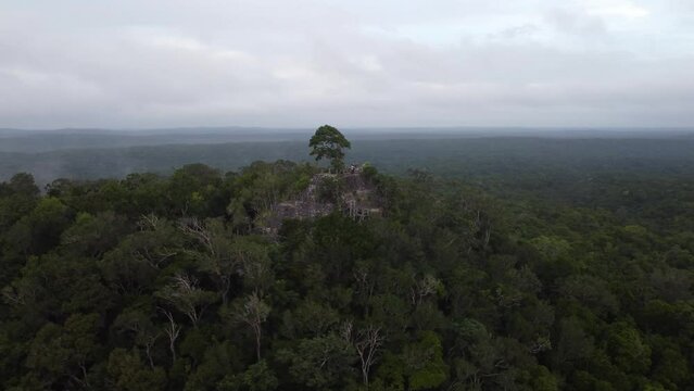 This footage was taken during a 5 Day hike in the ancient mayan jungle on the border between Mexico and Guatemala. A lot of biodiversity can be seen such as Howler- and Spidermonkeys.