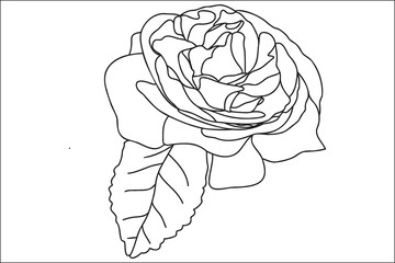 Black and white painted rose with leaves, intended for holidays, postcards, March 8, Valentine ․