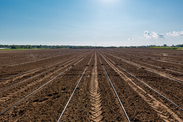 Fototapeta na wymiar Fields of rural lands, seedlings of agro culture, plowed land with a pliva system.