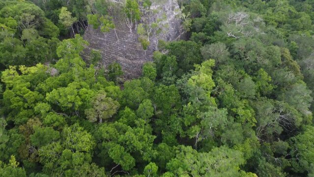 This footage was taken during a 5 Day hike in the ancient mayan jungle on the border between Mexico and Guatemala. A lot of biodiversity can be seen such as Howler- and Spidermonkeys.