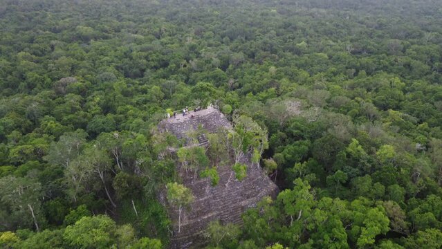 This footage was taken during a 5 Day hike in the ancient mayan jungle on the border between Mexico and Guatemala. A lot of biodiversity can be seen such as Howler- and Spidermonkeys.
