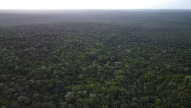 This footage was taken during a 5 Day hike in the ancient mayan jungle on the border between Mexico and Guatemala. A lot of biodiversity can be seen such as Howler- and Spidermonkeys.