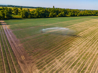 Sprinkler system on a dry field in summer