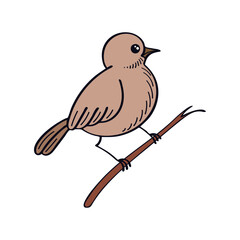 Bird on branch flat. Cute little forest bird. Exotic feathered. Hand drawn vector sketch illustration.