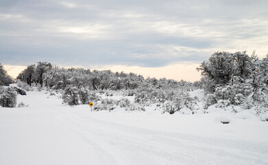 Nieve en el camino