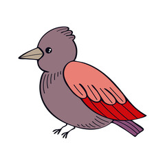 Bird flat. Cute little forest bird. Exotic feathered. Hand drawn vector sketch illustration.