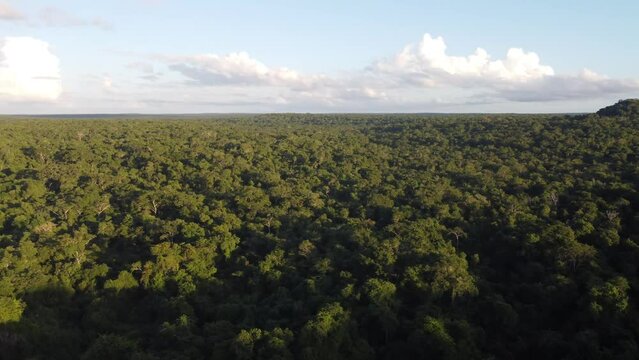 This footage was taken during a 5 Day hike in the ancient mayan jungle on the border between Mexico and Guatemala. A lot of biodiversity can be seen such as Howler- and Spidermonkeys.