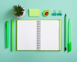 Empty page with green pen, pencil and marker on pastel green background. Eraser in the form of...