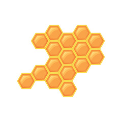 Honeycomb with bee honey vector illustration isolated on white background.