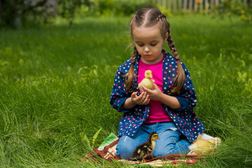 Cute happy little girl with of small ducklings in the garden. Nature background.