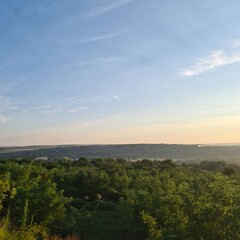 A landscape of a forest