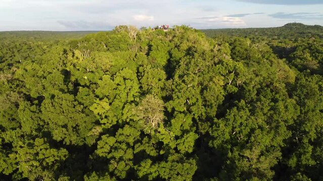 This footage was taken during a 5 Day hike in the ancient mayan jungle on the border between Mexico and Guatemala. A lot of biodiversity can be seen such as Howler- and Spidermonkeys.