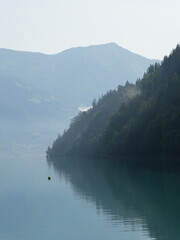 Early morning mist lingering in the trees on the banks of Brienzersee, Switzerland