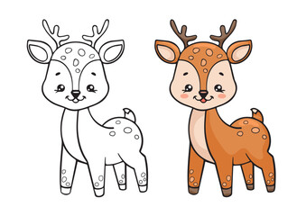 Coloring page of cute deer. Line drawing and color version of a cute cartoon reindeer. Children's educational game coloring book. Activity page for teaching drawing.