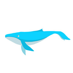 Fototapeta premium dolphin isolated on white