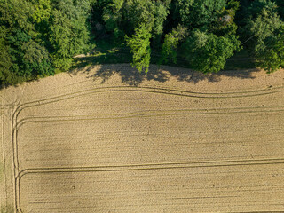 Aerial view of forest edge. Trees beside green field in rural area in Switzerland.