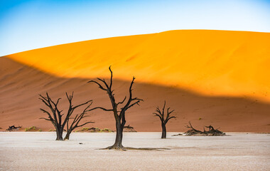 Dead Camelthorn Trees and red dunes in Deadvlei, Sossusvlei, Namib-Naukluft National Park, Namibia.