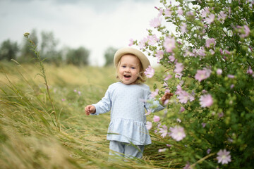 Little beautiful girl is walking in the field. Summer walks in the fields with flowers