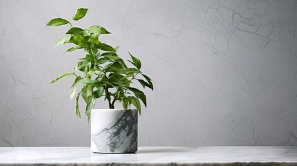  a plant in a marble vase on a marble countertop.  generative ai