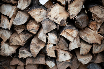chopped firewood in a woodpile in the country