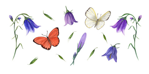 Set of bright bells from bud to open flower, fluttering butterflies. Watercolor illustration of wild meadow plants isolated on white background. Perfect for print, textile, banner design, decoration
