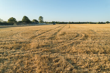 Gerstenernte mit Mähdrescher - Hannover Kronsberg