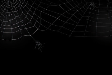 Real creepy spider webs silhouette isolated on black banner panorama | Generative AI