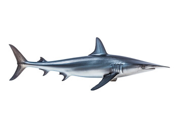 Fototapeta premium Thresher shark Alopias, Transparent background. generative AI