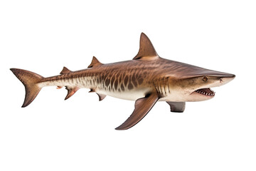 Fototapeta premium Whitetip shark Triaenodon obesus , Transparent background. generative AI