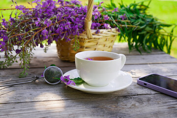 Farming concept. Spraying insecticide on tomato seedlings indoors. insect pest infestation