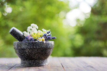 Homeopathy and herbal medicine concept outdoors