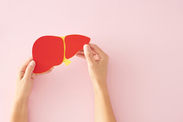 Сaring for the liver on World Hepatitis day July 28th. Top view photo of red liver in woman hands on pastel pink background with empty space for text
