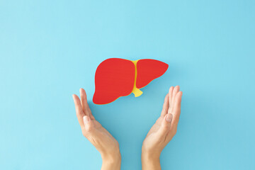 Liver сare takes center stage on International Hepatitis Day. First person top view photo of healthy liver on pastel blue background