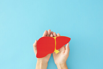 Liver care on International Hepatitis Day concept. Top view photo of liver shape symbol in women hands on pastel blue background with empty space for message