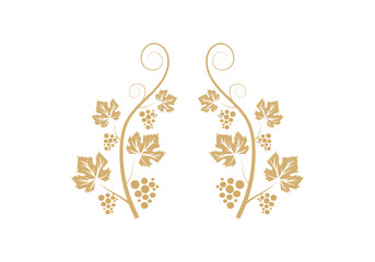 Decoration grapevine, vine canes and grapes. grape vine silhouette. vector illustration