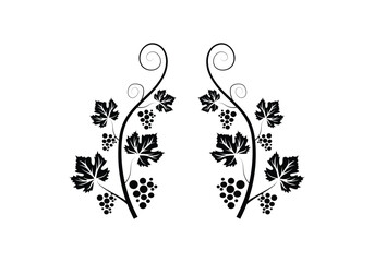 Decoration grapevine, vine canes and grapes. grape vine silhouette. vector illustration