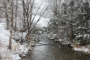 River in the cold winter