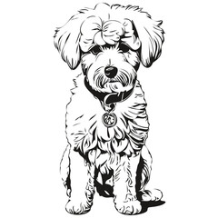 Bichons Frise dog line illustration, black and white ink sketch face portrait in vector