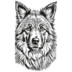 Belgian Tervuren dog pet silhouette, animal line illustration hand drawn black and white vector sketch drawing
