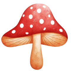 Watercolor Toadstool Illustration Isolated on Transparent Background