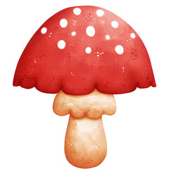 Watercolor Toadstool Illustration Isolated on Transparent Background