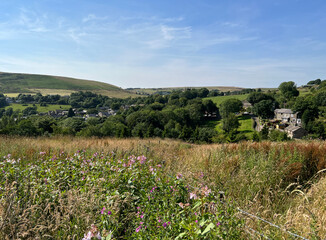 Evening landscape, with wild flowers, overgrown fields, houses, and distant hills near, Denshaw, Oldham, UK
