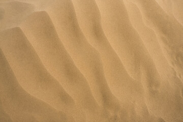 Minimalistic image of a sand dune in the desert with sand texture, in cloudy weather in summer