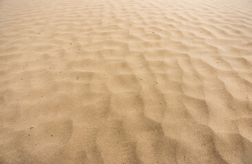 Minimalistic image of a sand dune in the desert with sand texture, in cloudy weather in summer