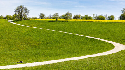 Cherry blossoms on the hills around Kalchreuth, Germany in Franconian Switzerland