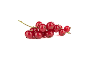 Twig with ripe juicy berries of red currant on a white background.
