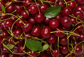 Fresh cherry with leaves as backgroung, top view